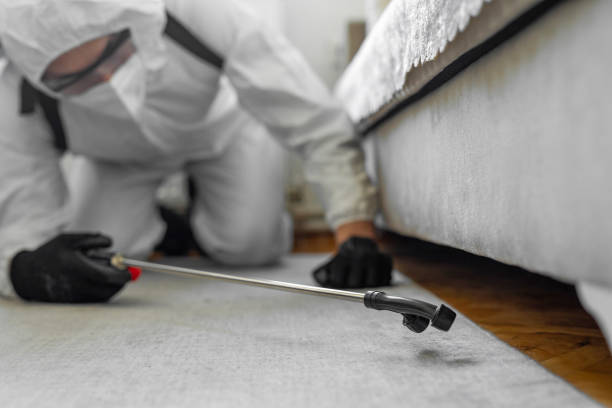 Professional Cockroach Control technician working in North Richland Hills, TX
