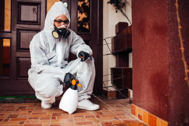 Reliable Cockroach Control contractor in North Richland Hills, TX by Nex Pest Control