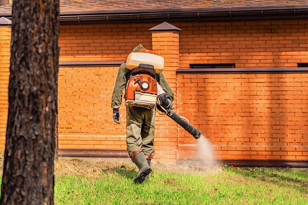 Trusted Rodent Control service in North Richland Hills, TX - Nex Pest Control